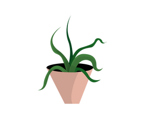 Aloe vera houseplant clipart