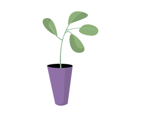 Cartoon Pilea peperomioides plant clipart