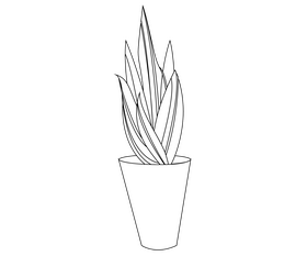 Snake plant black and white clipart