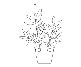Schefflera houseplant black and white clipart