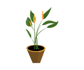 Free houseplant clipart