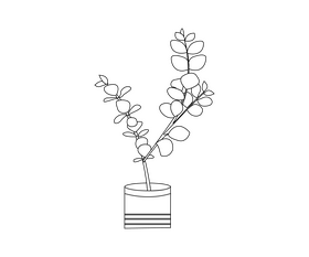 Indoor plant illustration black and white clipart