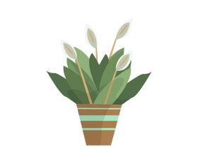 Houseplant cartoon clipart