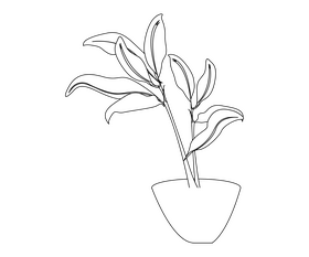 Potted houseplant black and white clipart