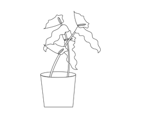 Cartoon houseplant black and white clipart