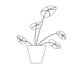 Free ficus houseplant black and white clipart