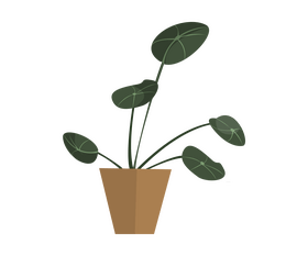 Free ficus houseplant clipart