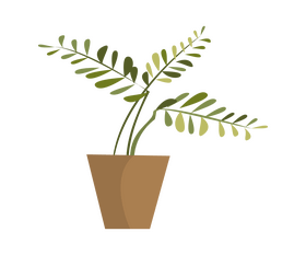 Areca palm plant clipart