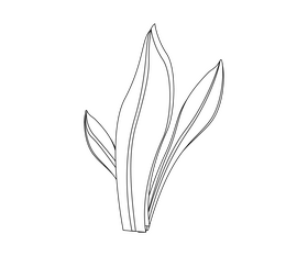 Free plant leaves black and white clipart