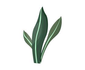 Free plant leaves clipart