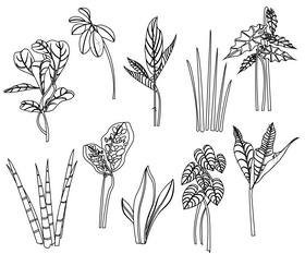 Plant leaves black and white vector