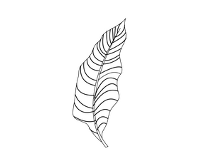 Free plant leaf black and white clipart