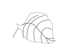 Plant leaf illustration black and white clipart
