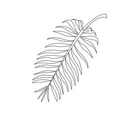 Cartoon palm leaves black and white clipart