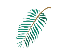 Cartoon palm leaves clipart