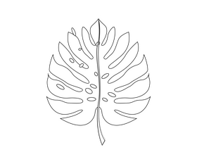 Cartoon palm leaf black and white clipart