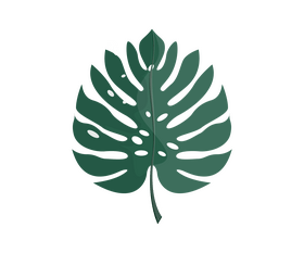 Cartoon palm leaf clipart