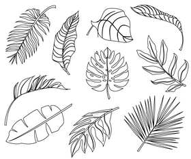 Plant leaves free black and white vector