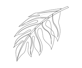 Plant leaf black and white clipart