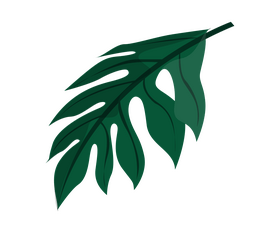Plant leaf clipart