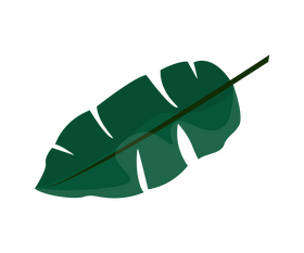 Plant leaf clipart