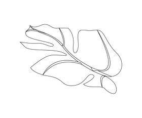 Free monstera leaf black and white clipart