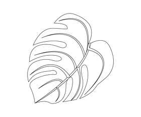 Monstera leaf black and white clipart