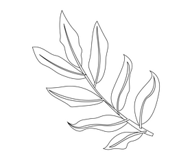 Plant leaves black and white clipart