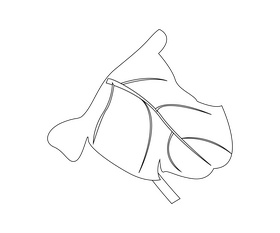 Monstera leaves black and white clipart