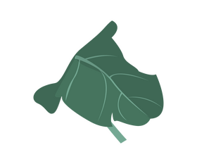 Monstera leaves clipart