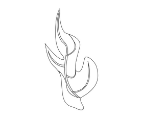 Cartoon monstera leaf black and white clipart