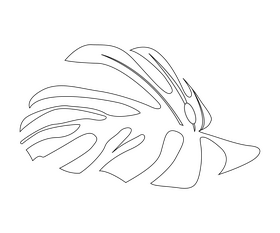 Monstera leaves black and white clipart