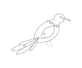 Sri Lankan parrot cartoon black and white clipart