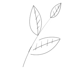 Sri Lankan leaf black and white clipart