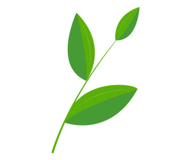 Sri Lankan leaf clipart