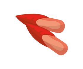 Tunisian shoes drawing clipart