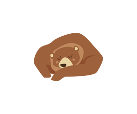 Lying bear cartoon clipart