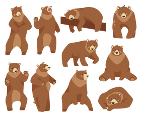 Cute bears vector