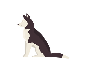 Cute husky dog sitting clipart