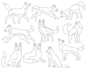 Husky dogs black and white vector