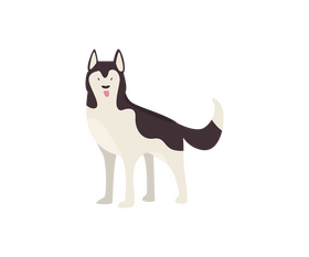 Cute husky dog clipart