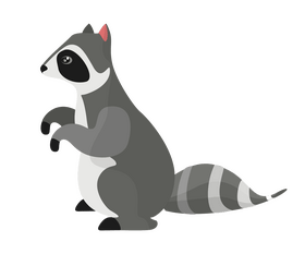 Raccoon clipart