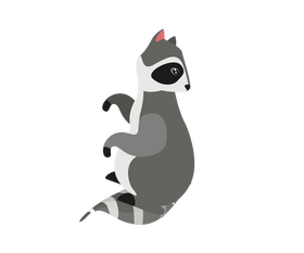 Raccoon looking back clipart