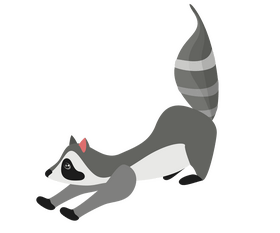 Lying raccoon clipart