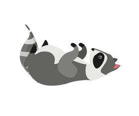 Lying raccoon drawing clipart