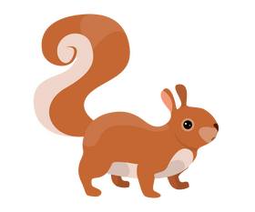 Squirrel clipart