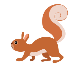 Squirrel illustration clipart