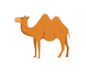 Cartoon camel clipart