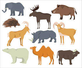 Wild animals vector