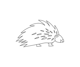 Porcupine black and white clipart free download